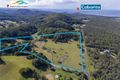 Property photo of 226 Round Mountain Road Round Mountain NSW 2484