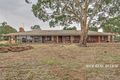 Property photo of 42 Altona Road Altona SA 5351