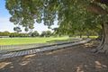 Property photo of 51 Australia Street Camperdown NSW 2050