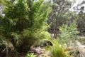 Property photo of 60 Ryans Road Umina Beach NSW 2257