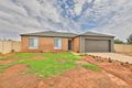 Property photo of 5 Immacolata Rise Red Cliffs VIC 3496