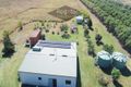 Property photo of 353 Bilwon Road Biboohra QLD 4880