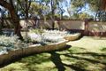 Property photo of 16 Devonian Gardens Bibra Lake WA 6163