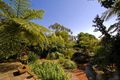 Property photo of 43 Gardere Avenue Curl Curl NSW 2096