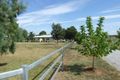 Property photo of 384 Nundle Road Nemingha NSW 2340