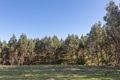 Property photo of 2/751 Rookery Road Winkleigh TAS 7275
