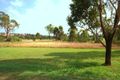 Property photo of 3 Crebra Way Mount Annan NSW 2567