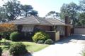 Property photo of 24 Lee-Ann Crescent Croydon VIC 3136