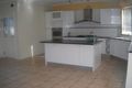 Property photo of 1 Merbein Street Pascoe Vale VIC 3044