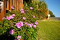 Property photo of 1/10 Blamey Drive Tugun QLD 4224