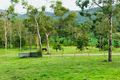 Property photo of 53 Ashton Road Gregory River QLD 4800