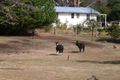 Property photo of 590 Plenty Valley Road Moogara TAS 7140