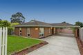 Property photo of 20 Walpole Avenue Belmont VIC 3216