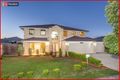 Property photo of 49 Raynbird Place Carseldine QLD 4034
