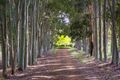 Property photo of 77 Johnson Road Wilyabrup WA 6280
