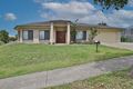 Property photo of 9 Cottonwood Crescent Springfield Lakes QLD 4300