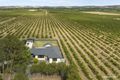 Property photo of 5 Auguste Street Nuriootpa SA 5355