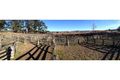 Property photo of 8951 Nowendoc Road Nowendoc NSW 2354