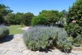 Property photo of 51 Telegraph Road Pymble NSW 2073