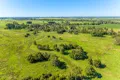 Property photo of 35 McNaughtons Lane Irvington NSW 2470