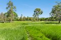 Property photo of 364 Forestry Road Bluewater Park QLD 4818