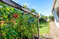 Property photo of 32 Archibald Street Edmonton QLD 4869