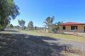 Property photo of 1243 Bendigo-Maryborough Road Shelbourne VIC 3515