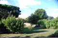Property photo of 16 Delegate Road Bombala NSW 2632