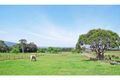 Property photo of 469 Coolangatta Road Far Meadow NSW 2535