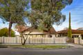 Property photo of 11 Dudley Street Ivanhoe VIC 3079