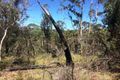 Property photo of 19 Chatsworth Road Mount Victoria NSW 2786