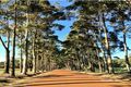 Property photo of 11 Copse Way Cowaramup WA 6284
