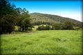 Property photo of 596 Littles Loop Road Upper Rollands Plains NSW 2441