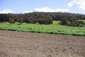 Property photo of 75 Woodcock Road Cygnet TAS 7112