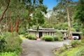 Property photo of 17 Eucalyptus Road Eltham VIC 3095