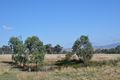 Property photo of 2709 Maroondah Highway Maindample VIC 3723