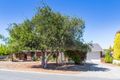 Property photo of 43 Dampier Loop Mirrabooka WA 6061