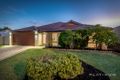 Property photo of 47 Pendleton Crescent Butler WA 6036