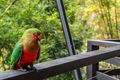 Property photo of 16 Sheepstation Gully Close Mount Crosby QLD 4306