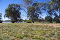 Property photo of 19 Ian Showell Drive Renmark SA 5341