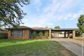 Property photo of 20 Wren Street Mount Austin NSW 2650