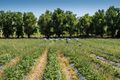 Property photo of 15 Melba Highway Coldstream VIC 3770