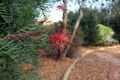 Property photo of 7 Barracks Close Dubbo NSW 2830