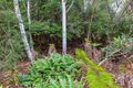Property photo of 1227 Pelverata Road Pelverata TAS 7150