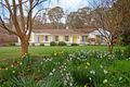 Property photo of 46 Centennial Road Bowral NSW 2576