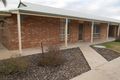Property photo of 1/12 Cedar Avenue Renmark SA 5341