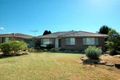 Property photo of 59 Cawdell Drive Albion Park NSW 2527