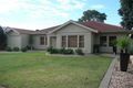 Property photo of 7 Budhollow Avenue Paradise SA 5075