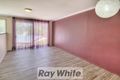 Property photo of 17 Curry Street Logan Central QLD 4114