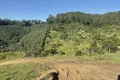 Property photo of 420E Coramba Road Coffs Harbour NSW 2450